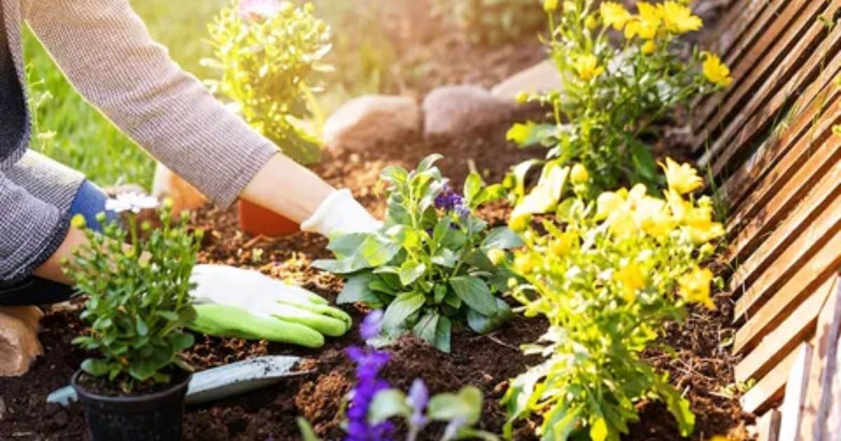 Maintaining the Garden