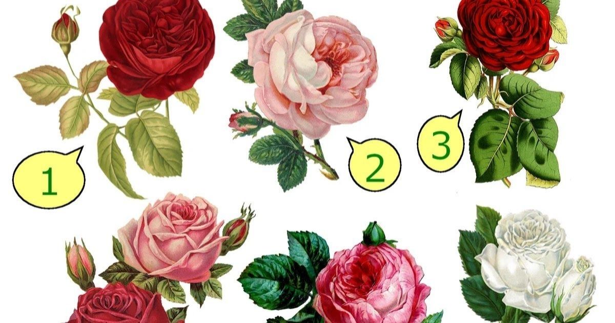 What is June's birth flower?