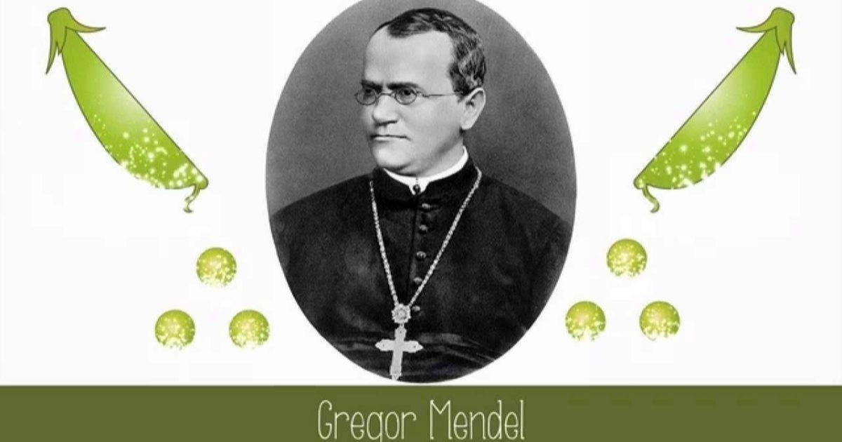 Why Did Mendel Study Pea Plants?