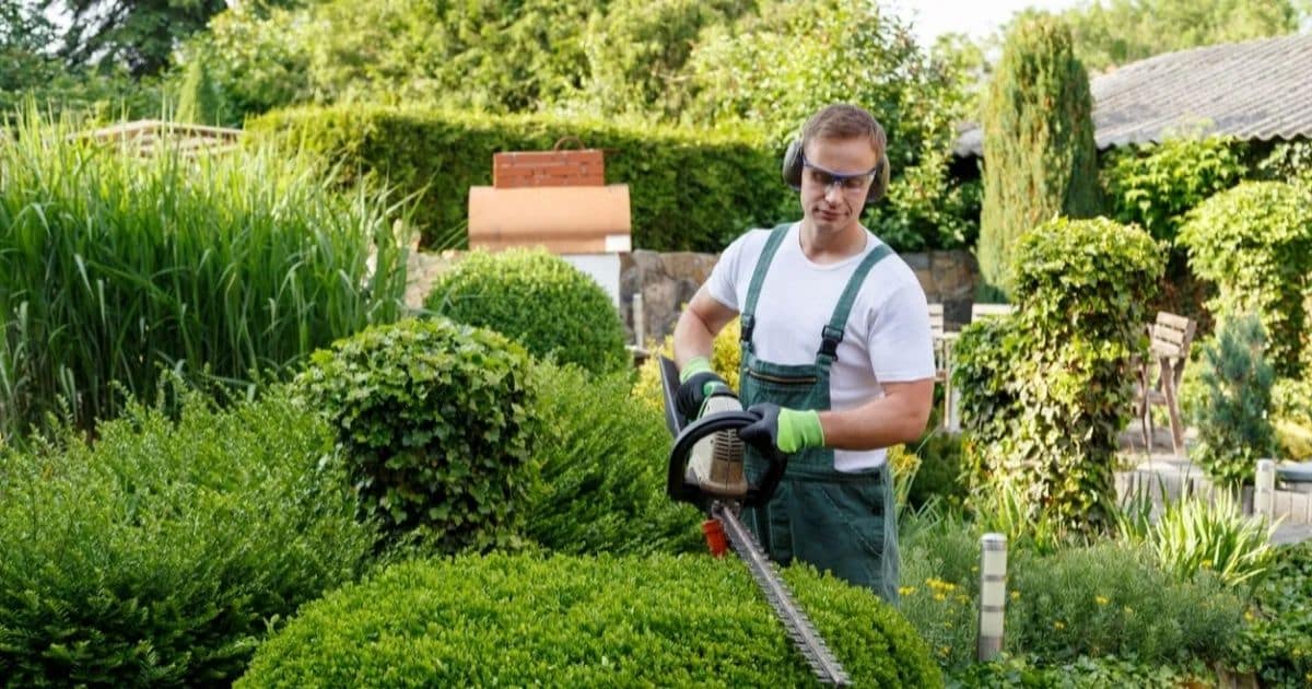 Overgrown Garden Clearance in London the Easy Way