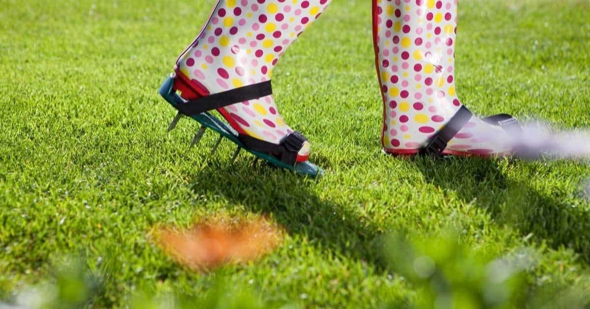 What is Lawn Aeration? Why, When, and How to Do It?